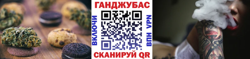 закладки  Мезень  Еда ТГК конопля 