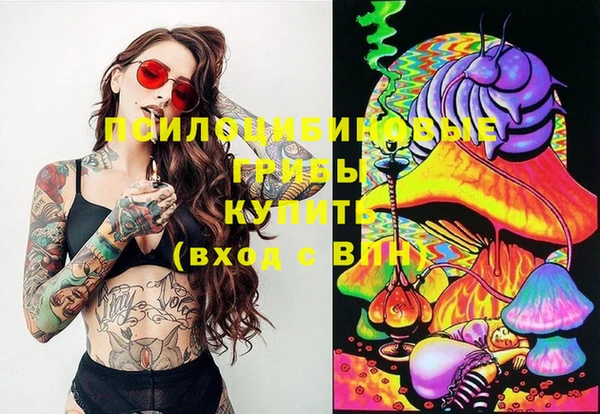 молекула духа Каменск-Шахтинский