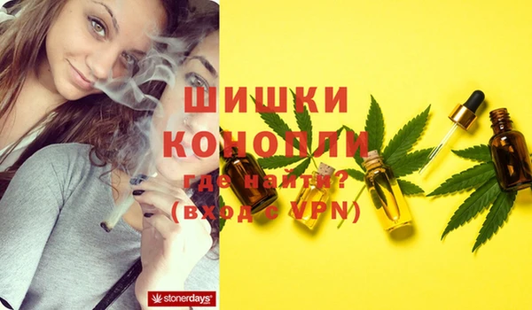 гашик Киреевск