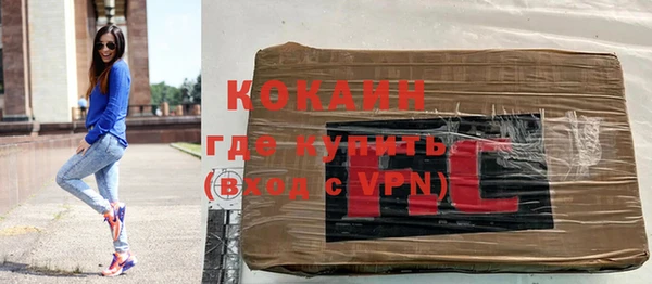 молекула духа Каменск-Шахтинский